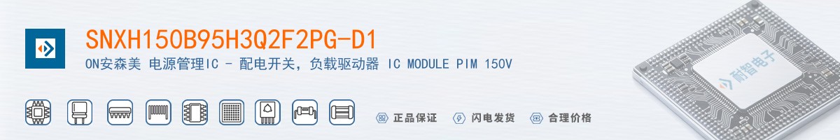 SNXH150B95H3Q2F2PG-D1������