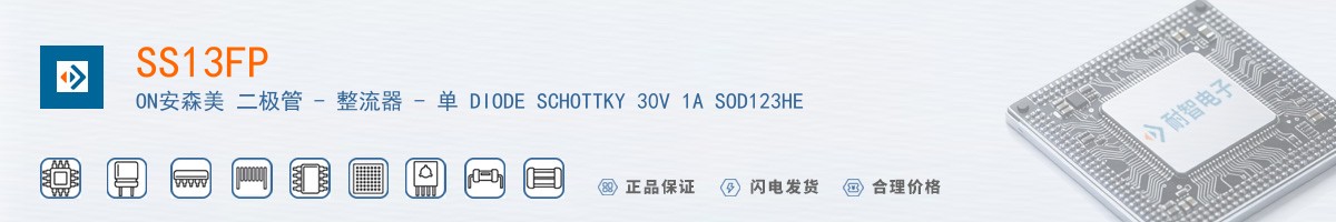 SS13FP������