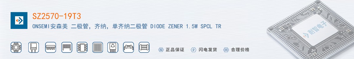 SZ2570-19T3������