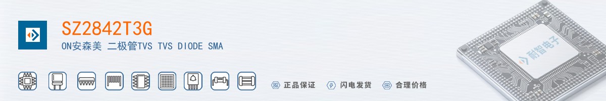 SZ2842T3G������