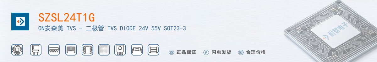 SZSL24T1G������