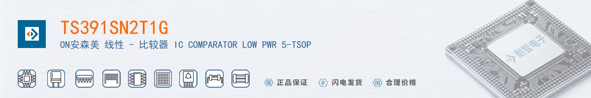TS391SN2T1G������