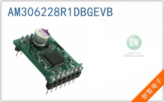 AM306228R1DBGEVB