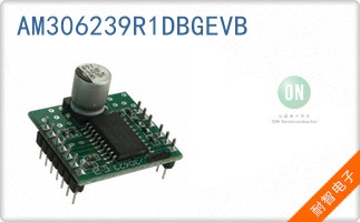 AM306239R1DBGEVB