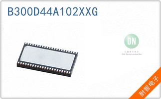B300D44A102XXG