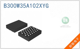 B300W35A102XYG