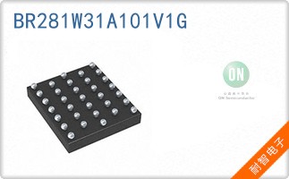 BR281W31A101V1G