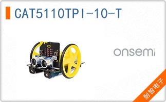 CAT5110TPI-10-T