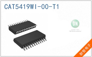 CAT5419WI-00-T1
