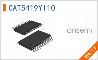 CAT5419YI10