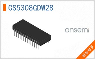CS5308GDW28