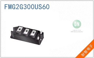 FMG2G300US60