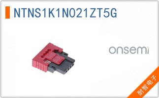 NTNS1K1N021ZT5G