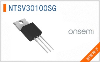 NTSV30100SG