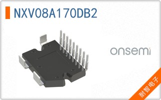 NXV08A170DB2